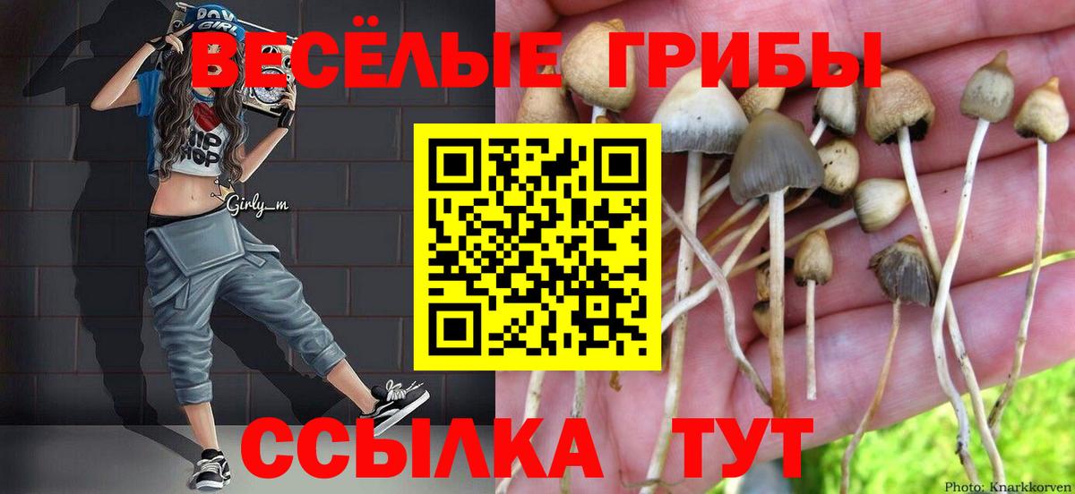 Псилоцибиновые грибы MAGIC MUSHROOMS Ялуторовск