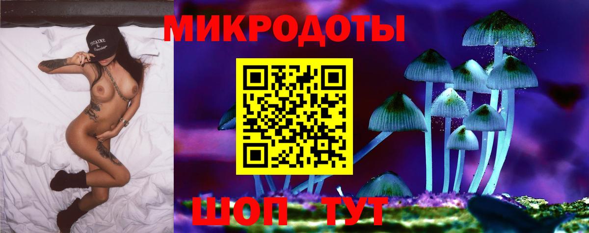 Псилоцибиновые грибы Psilocybine cubensis  Вход с VPN  Ялуторовск 
